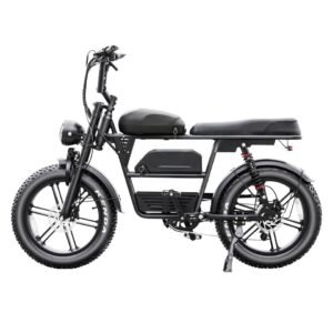 QM Wheel Fatbike EB30 Dubbele Accu | Tot 120 km Rijbereik | Gratis Montage